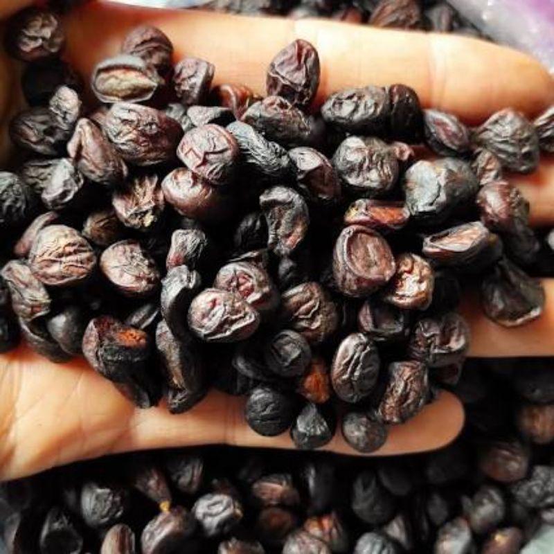 CÂY DỔI