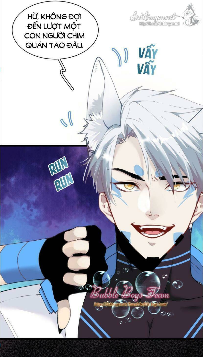 dù là sói cô độc cũng có tình yêu của sẻ nhỏ chapter 11 43