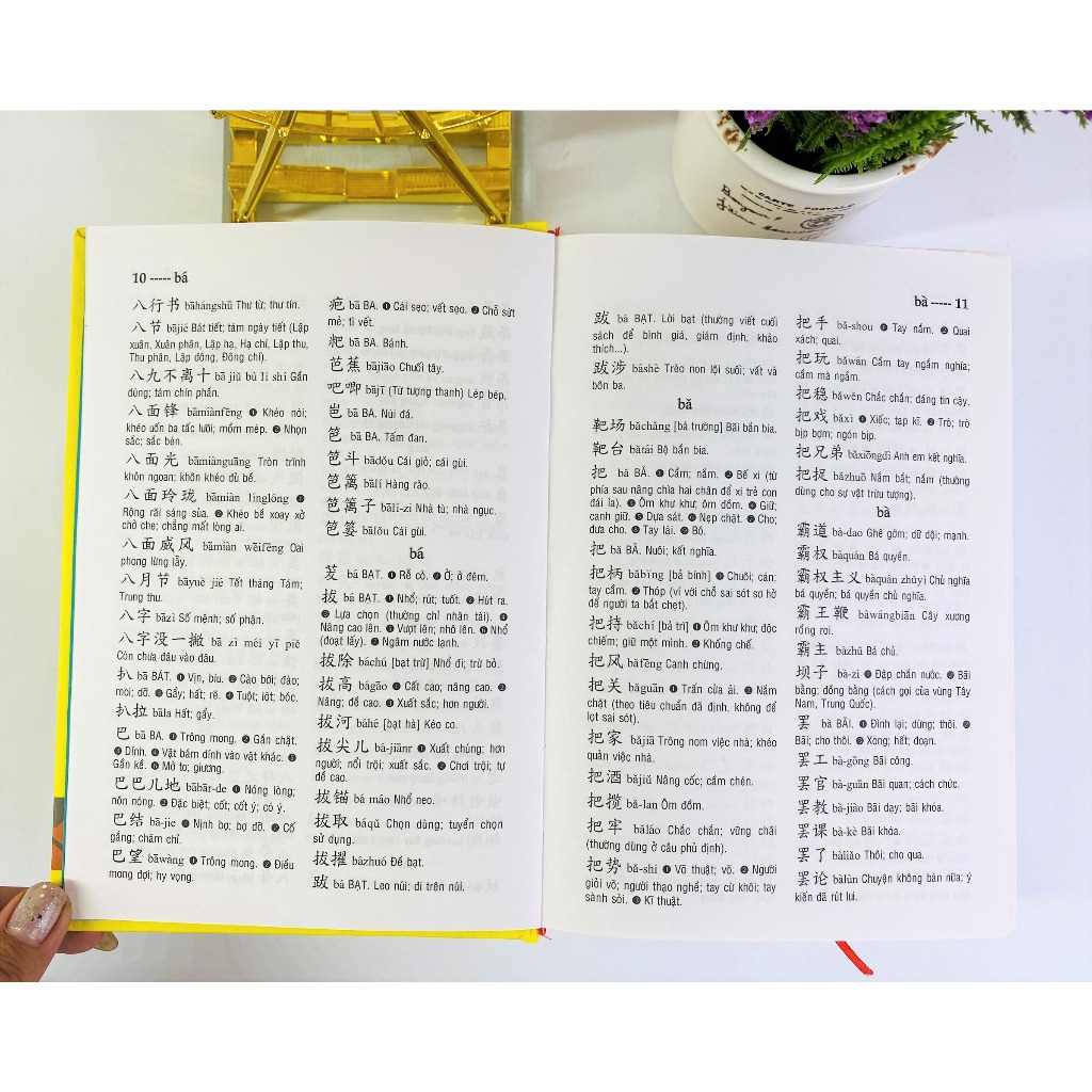 Sách - Từ điển Trung Việt (bìa cứng) - ndbooks - ảnh 6