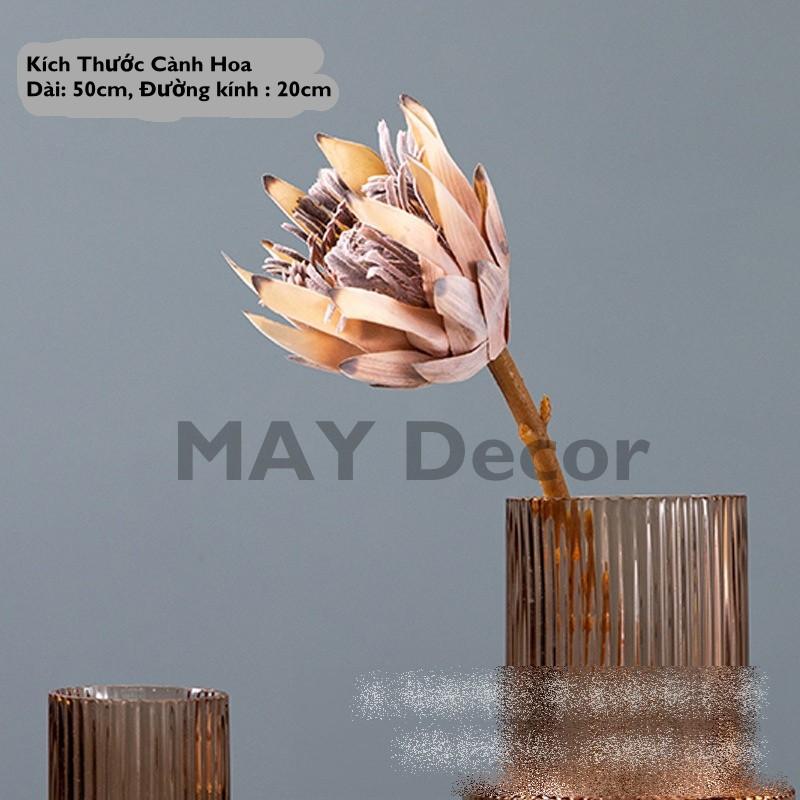 Bình Hoa Thuỷ Tinh Cao Cấp, Lọ Hoa Thuỷ Tinh Decor Trang Trí Nhà Cửa Độc Đáo