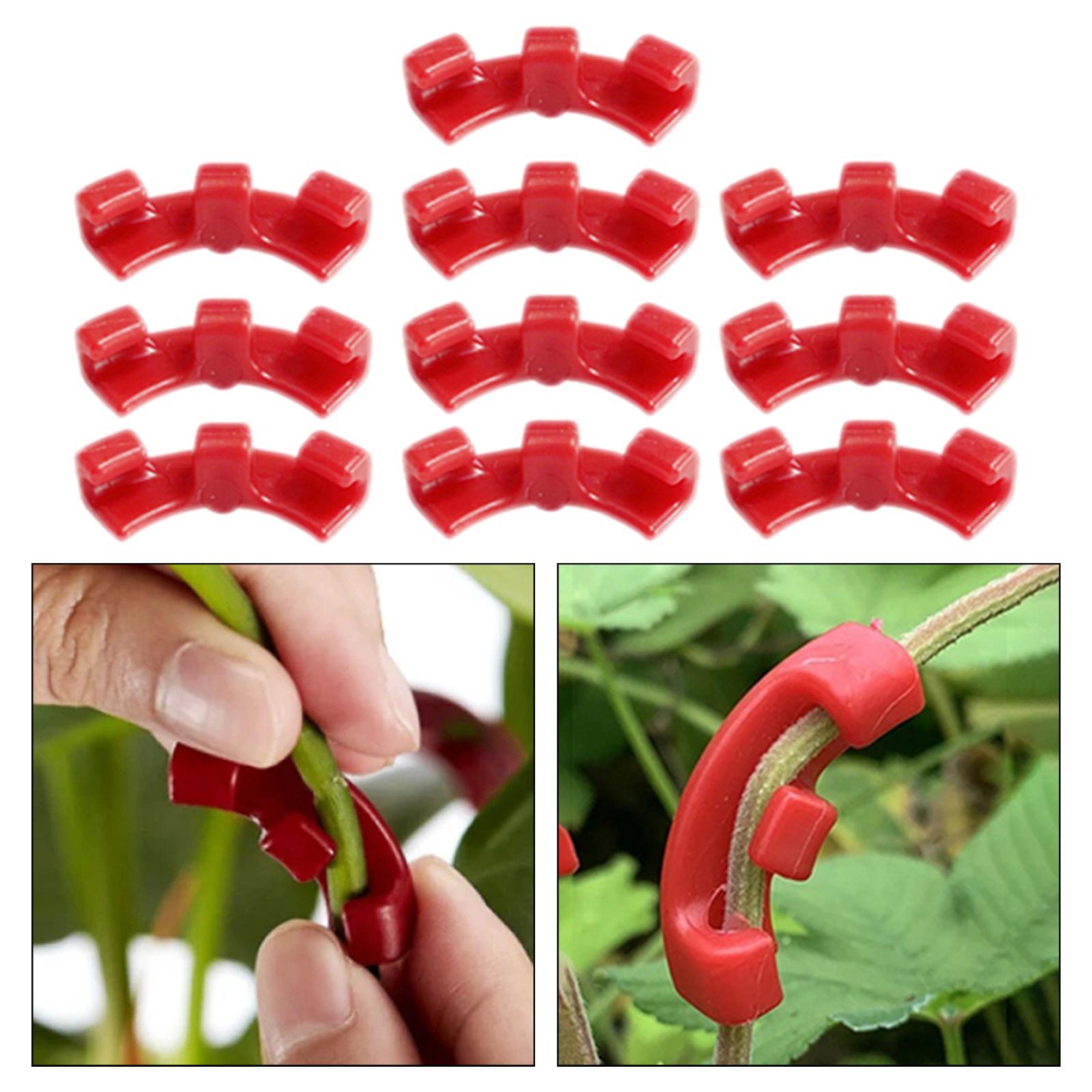 10Pcs Plant Trainer Clips Accs Garden Decoration for Training Flower Outdoor