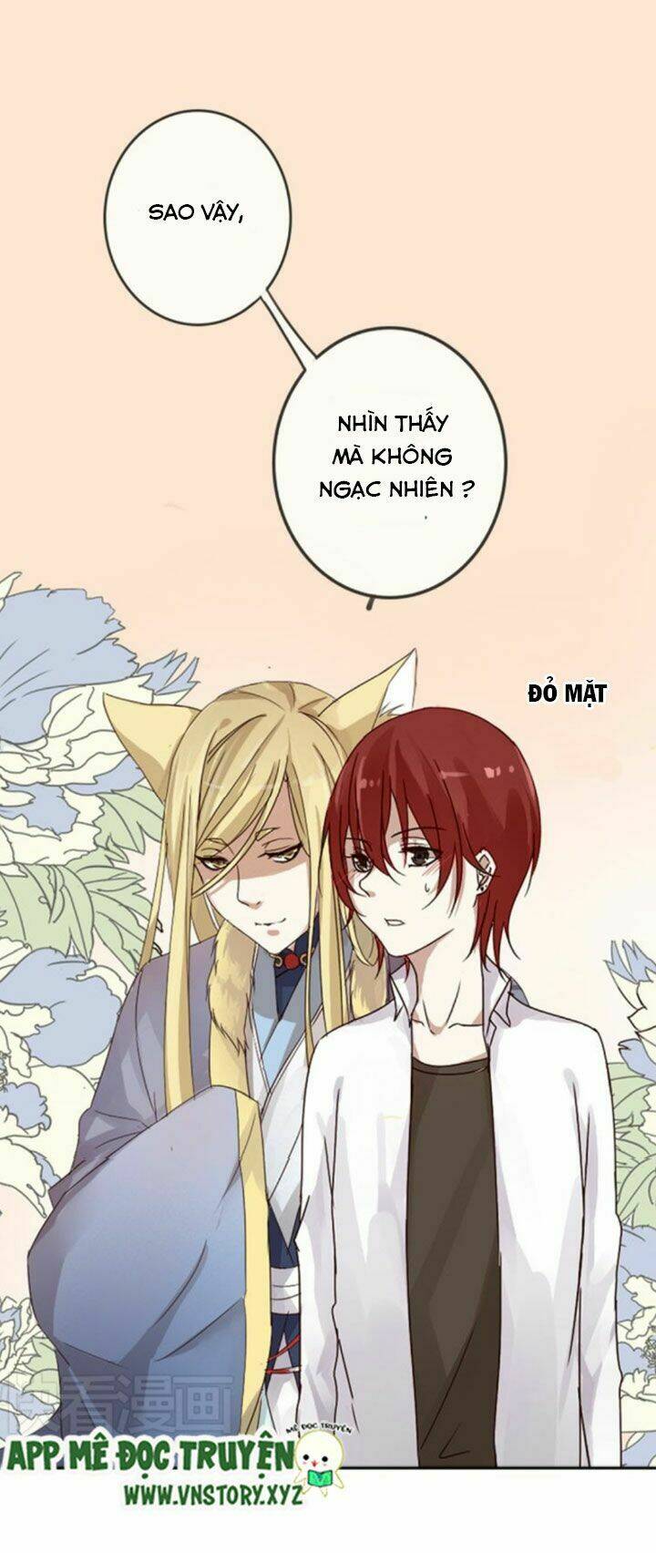 hồ tiên này không tin được chapter 1 18