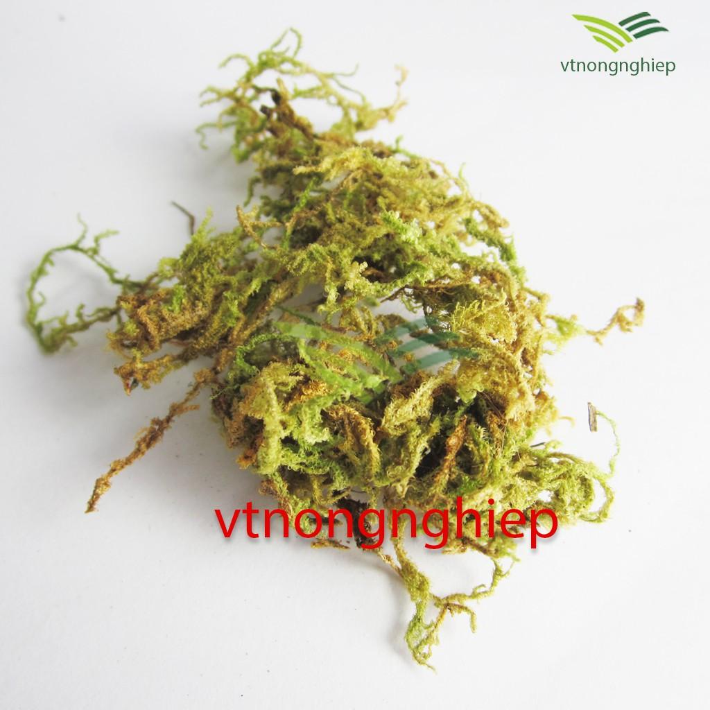 Rêu rừng trồng lan, rêu rừng NewZita, gói 130