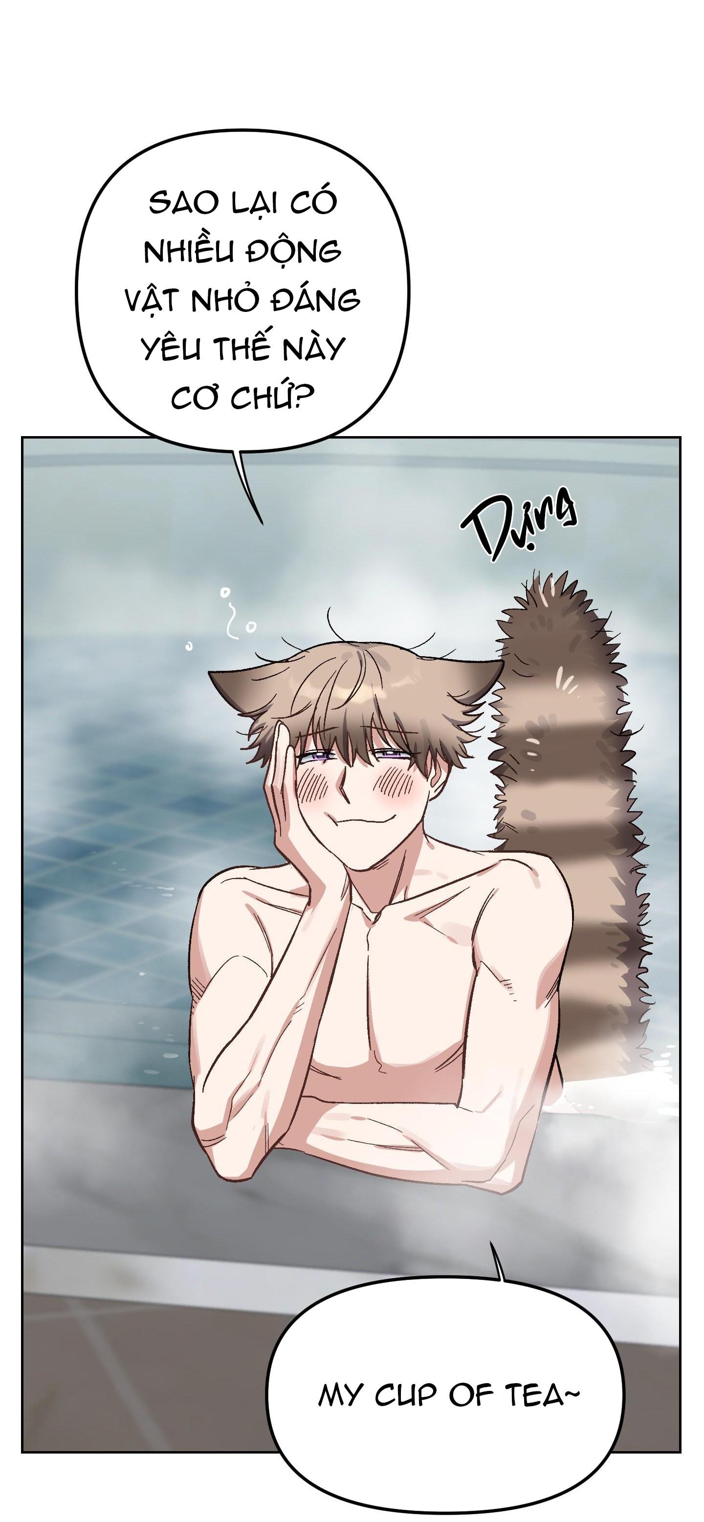 chú thỏ chỉ cần 3 giây là xuất tinh chapter 1 17