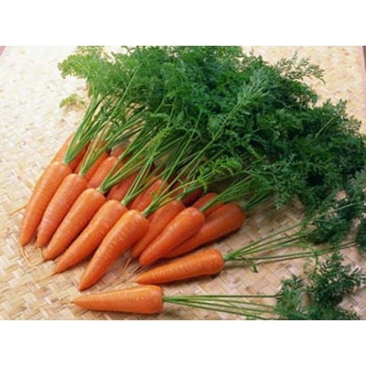 Gói 10 gr giống cà rốt