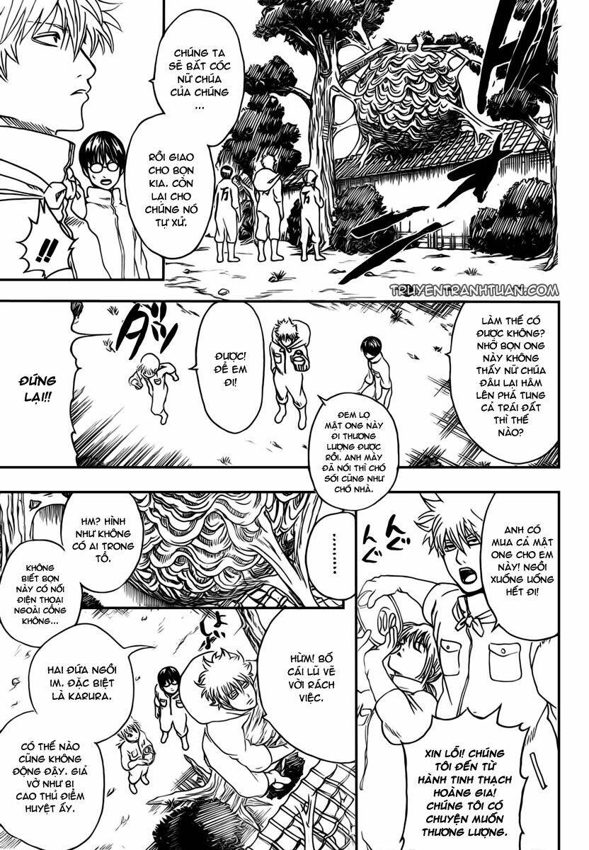 gintama - linh hồn bạc chapter 269 13