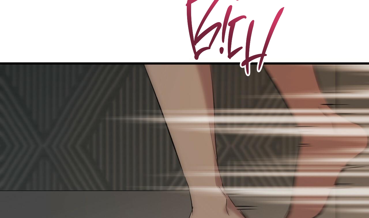 những chú thỏ của hapypy chapter 56 57