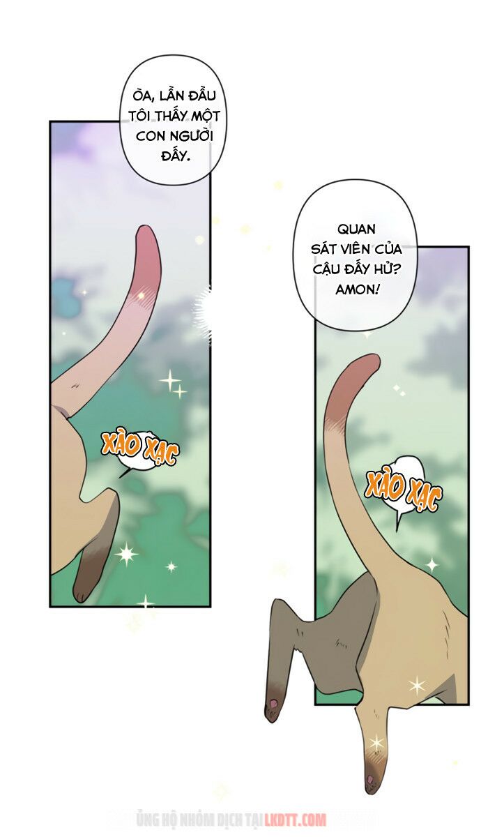 tôi đang nuôi dưỡng một con quái thú chapter 18 35