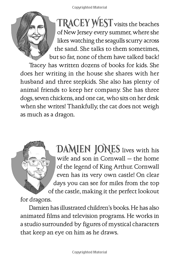 Sách ngoại văn: Dragon Masters #7: Search for the Lightning Dragon: A Branches Book