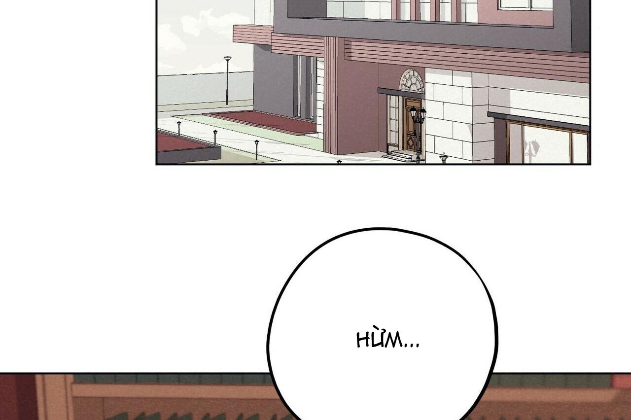 chàng dâu nhà họ kang chapter 13 49