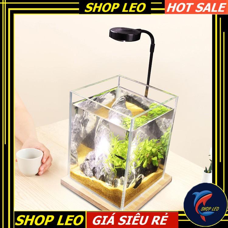 Đèn Led Kệ gỗ BamBoo 5W - Đèn đế gỗ