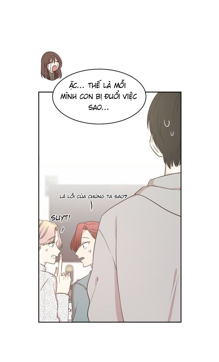 idols sống trong nhà tôi! chapter 6 16