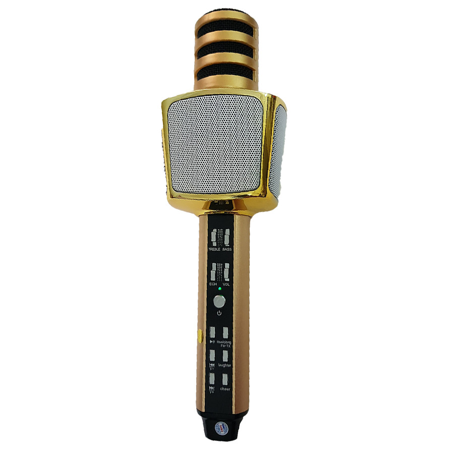 Micro Karaoke Tích Hợp Loa Bluetooth SD-17