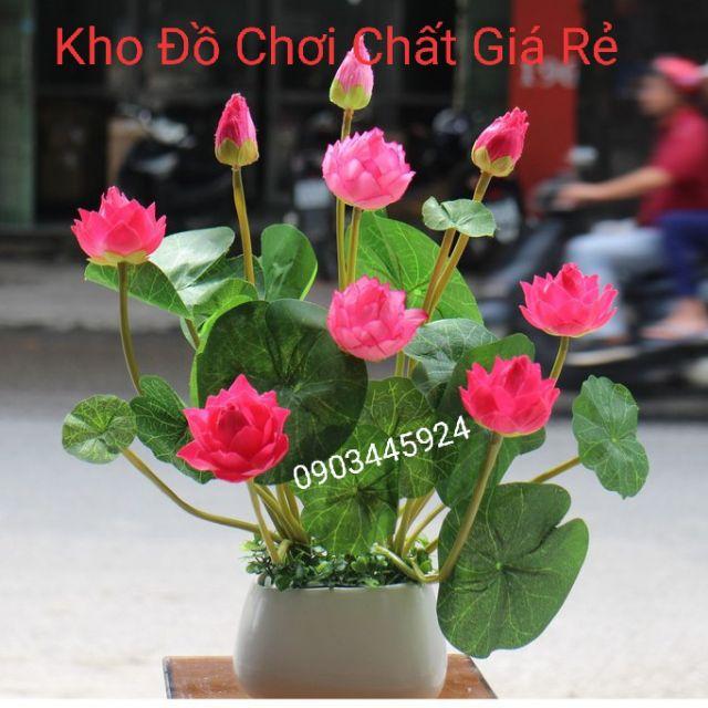 Cành hoa sen cạn nhỏ cao 43cm- Hoa giả