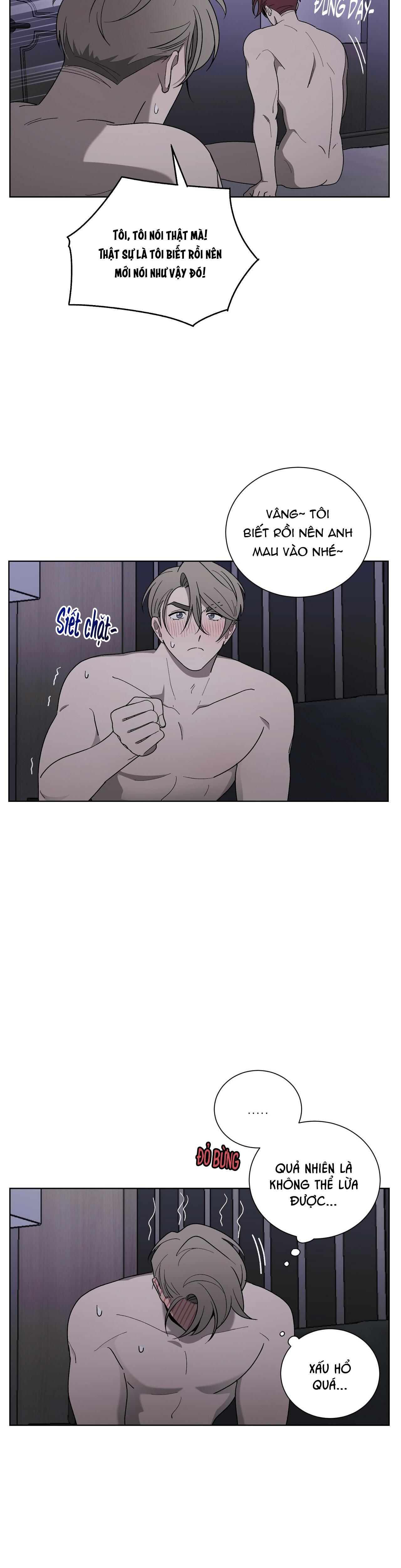 khi chim thước đến chapter 12 8