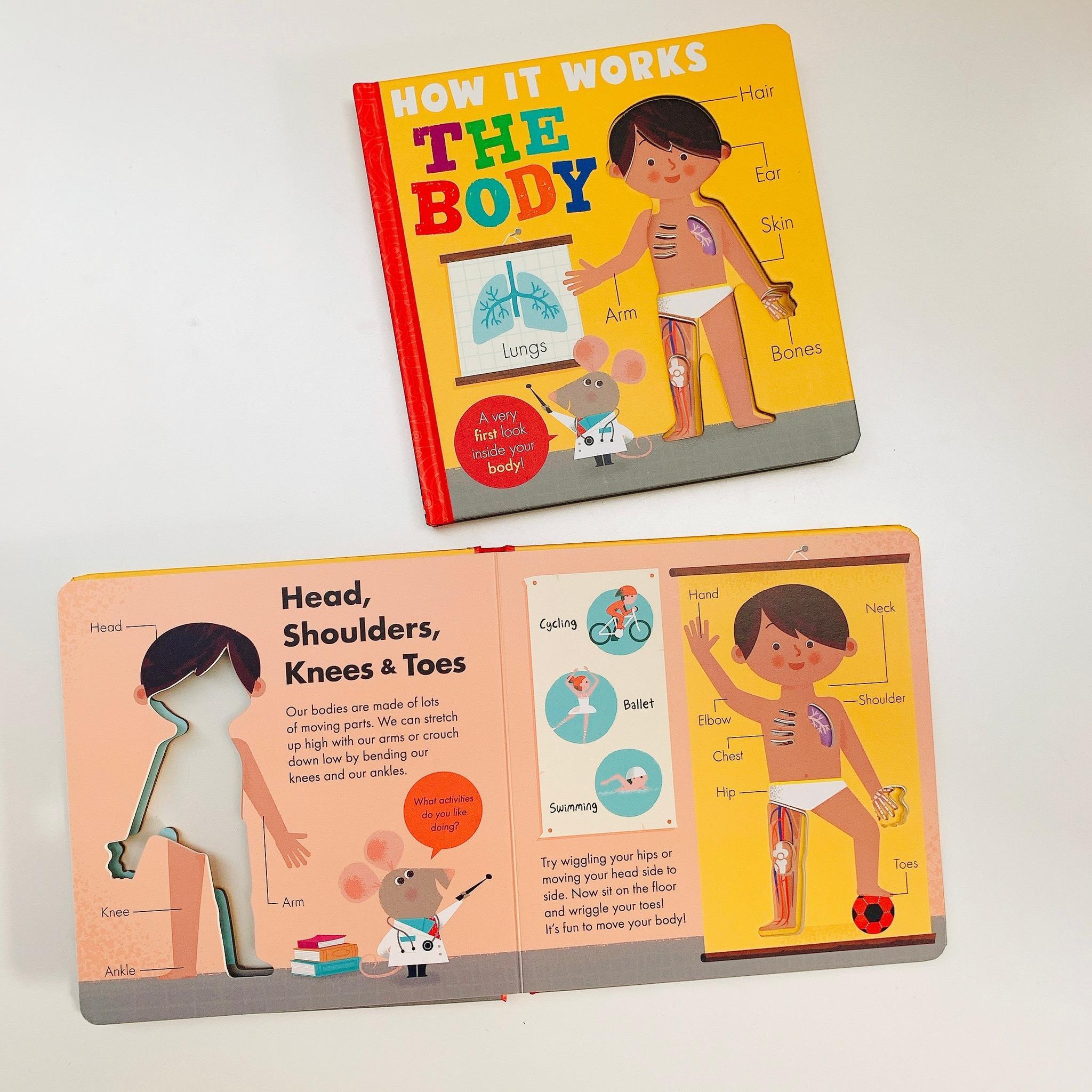 How it Works: The Body