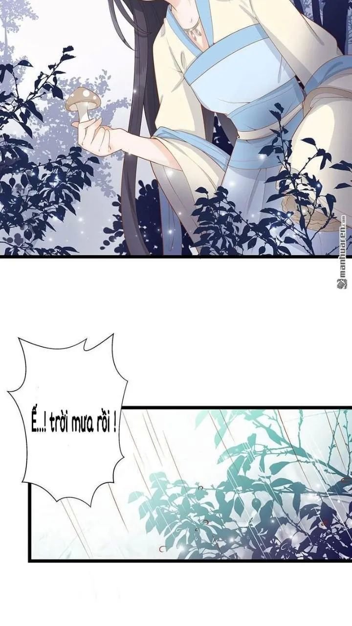 định mệnh giữa vị thần và tiểu cô nương chapter 12.1 8