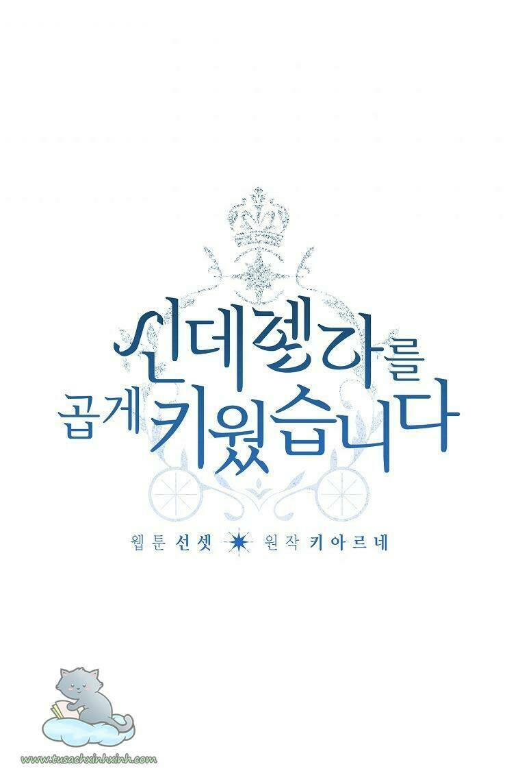 tôi trở thành mẹ kế của cinderella chapter 72 3