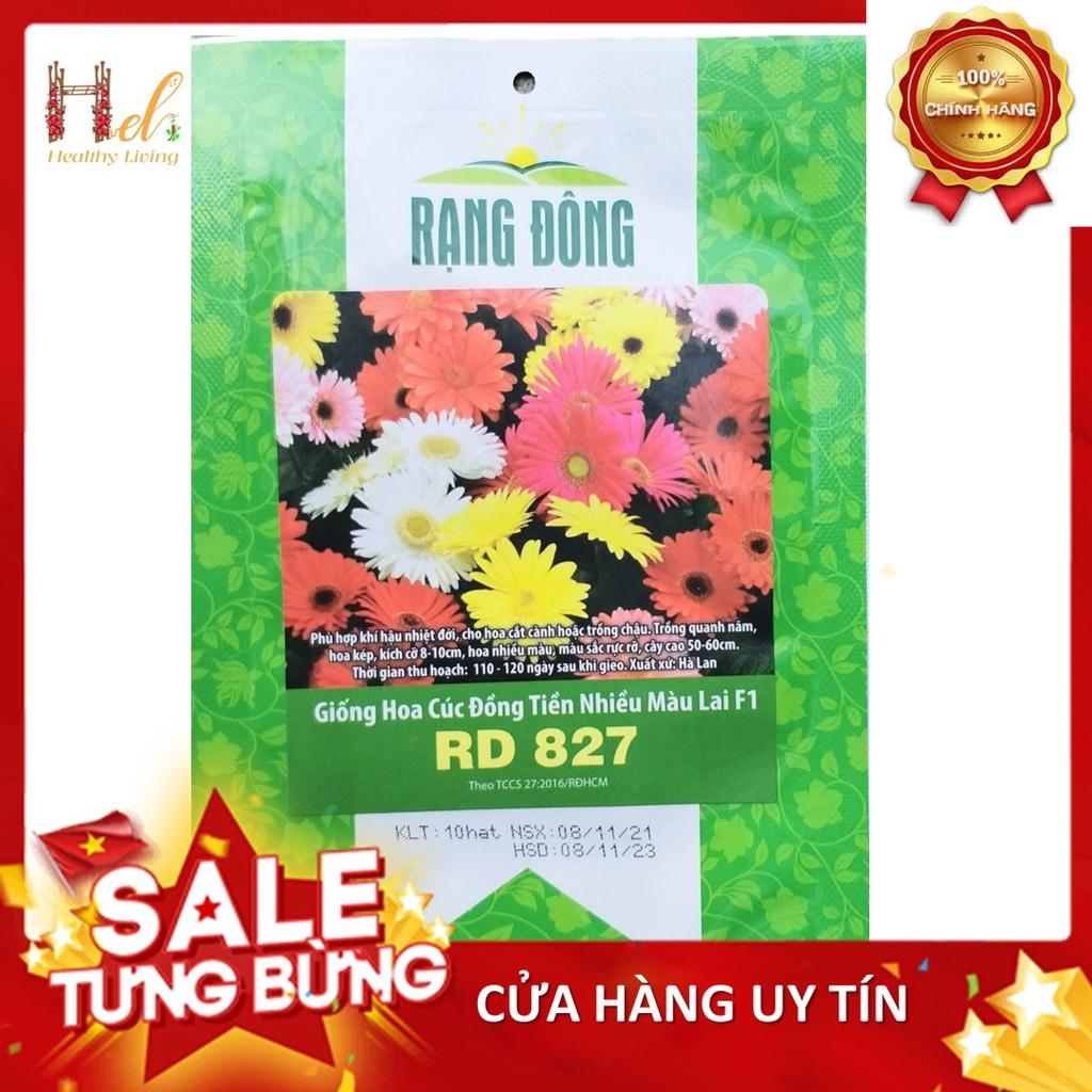 Hạt Giống Hoa Cúc Đồng Tiền Nhiều Màu - Trồng Hoa Bằng Đất Sạch, Mùn Dừa, Phân Bón Hữu Cơ