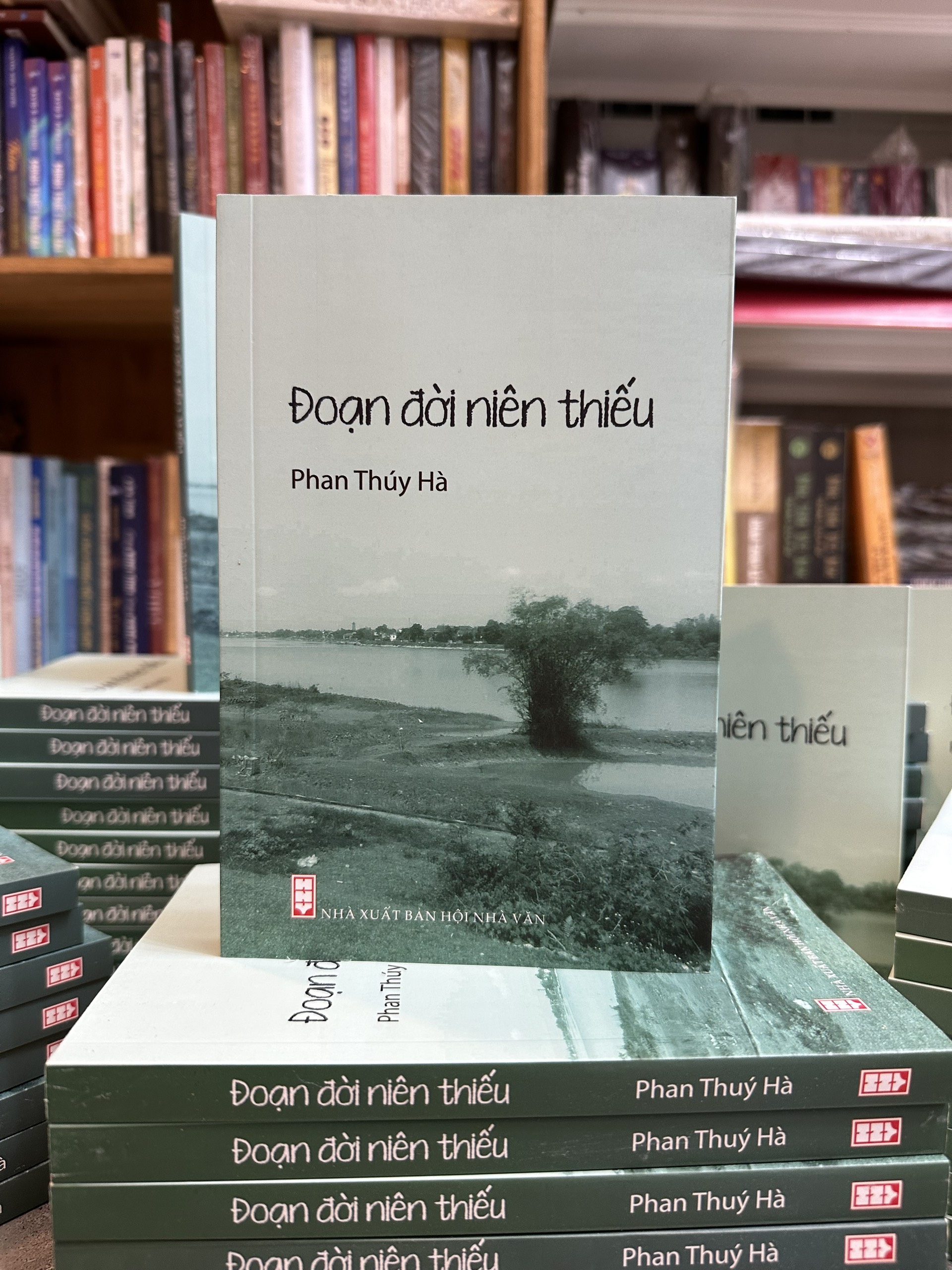 Đoạn Đời Niên Thiếu - Phan Thuý Hà - (bìa mềm)