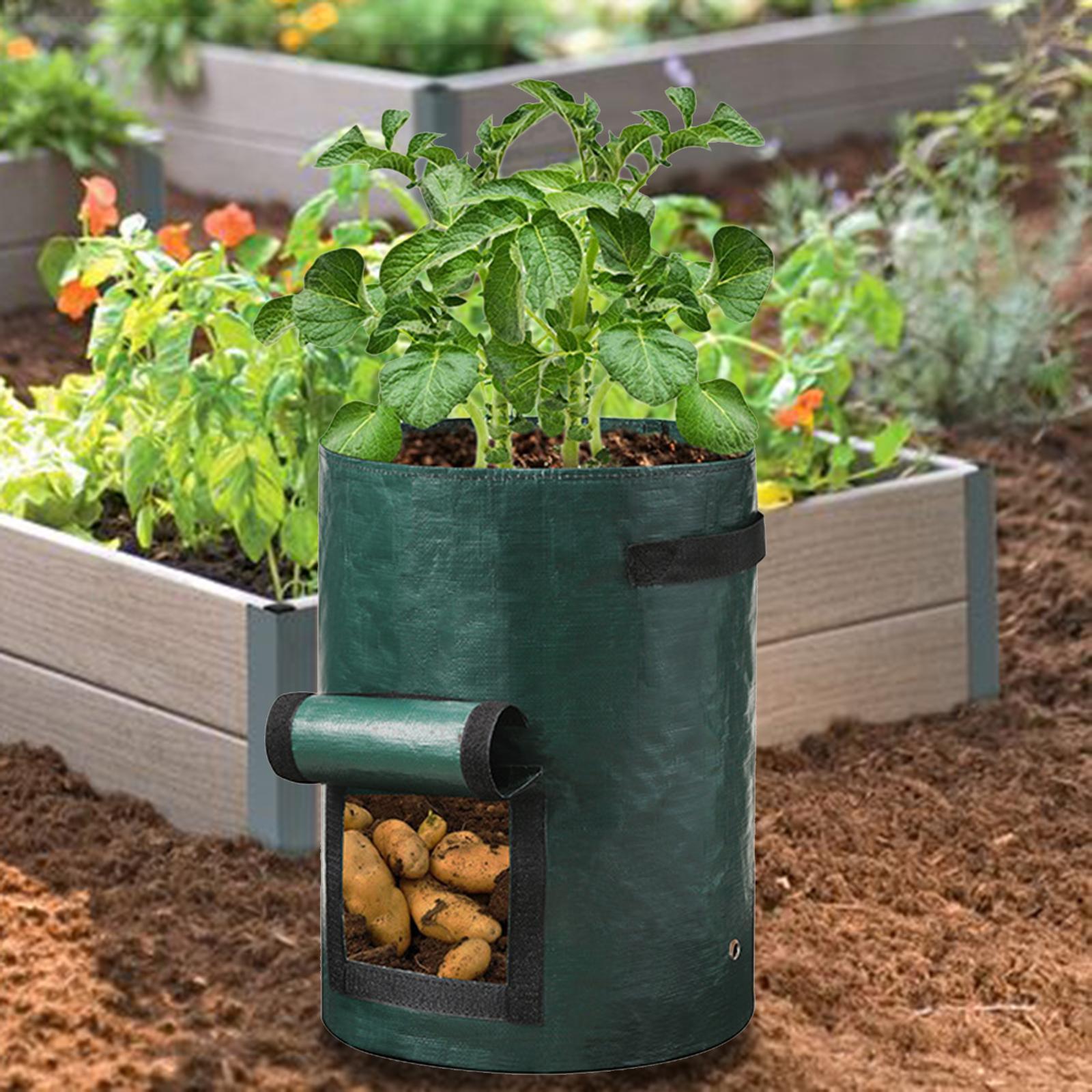 Plant Growing Bags Outdoor Pot for Other Outdoor  Plants Tomato