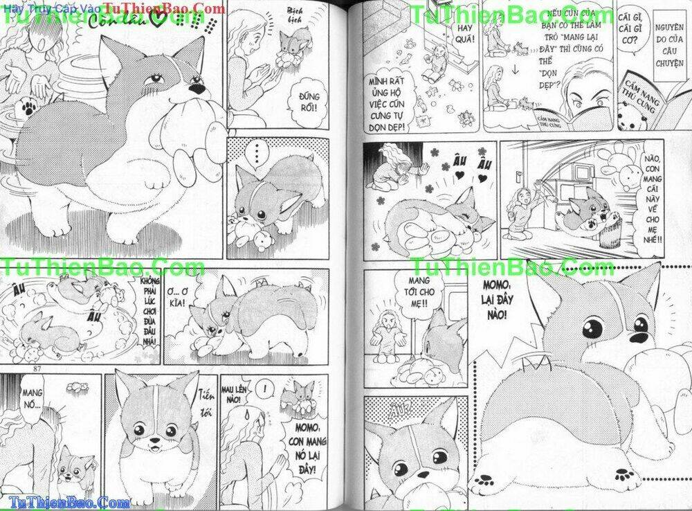 chó con mo mo chapter 3 45