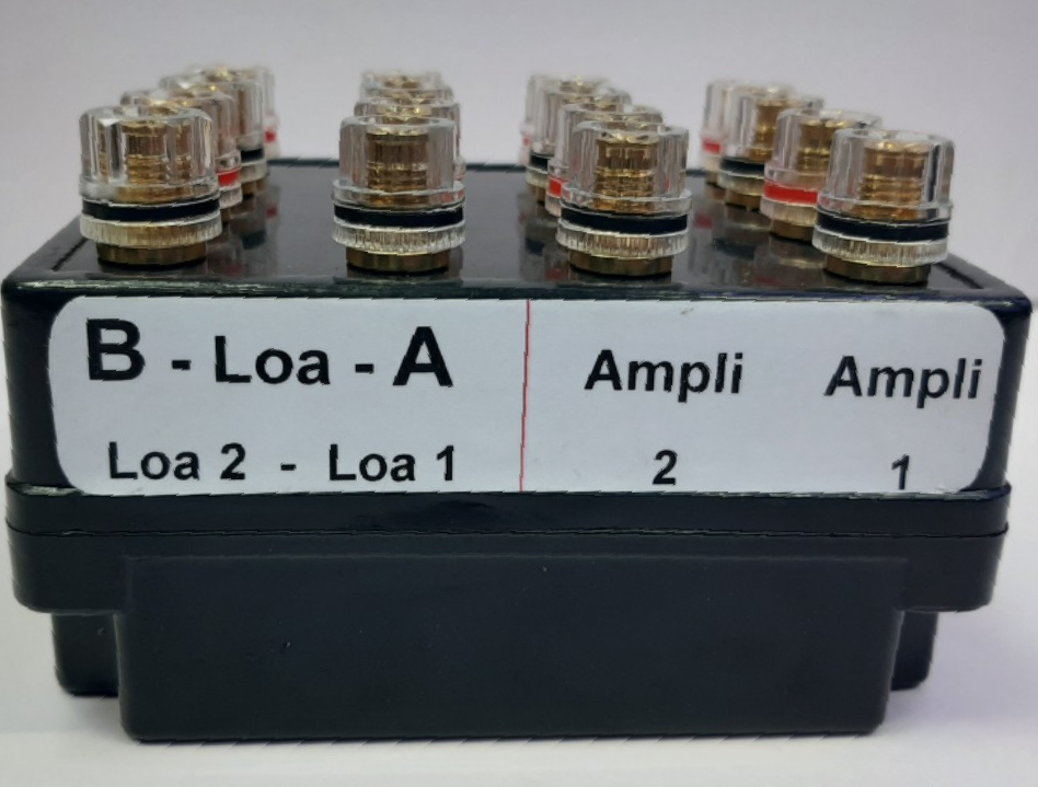 Hộp Chia Loa - 2Ampli ra 1Loa