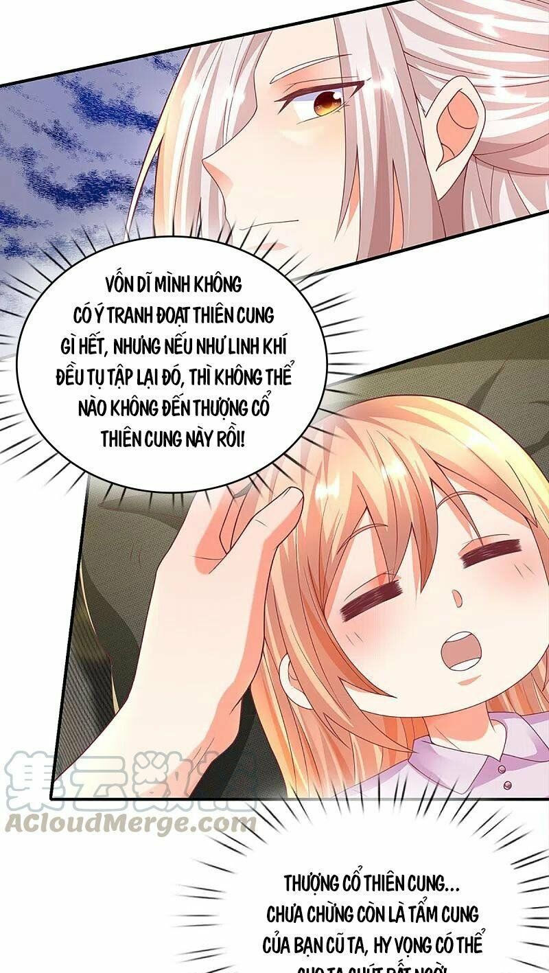 vú em tiên tôn đi ở rể chapter 205 5