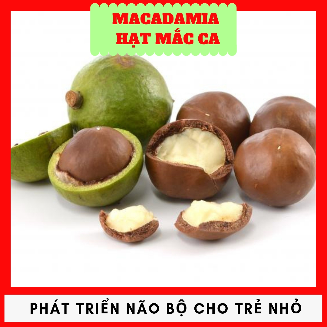 Hạt mắc ca tách vỏ Hũ 250g