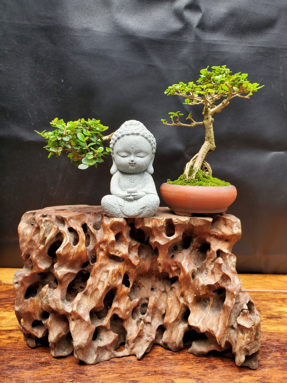 Đế gỗ lũa + Tượng phật + Sam hương