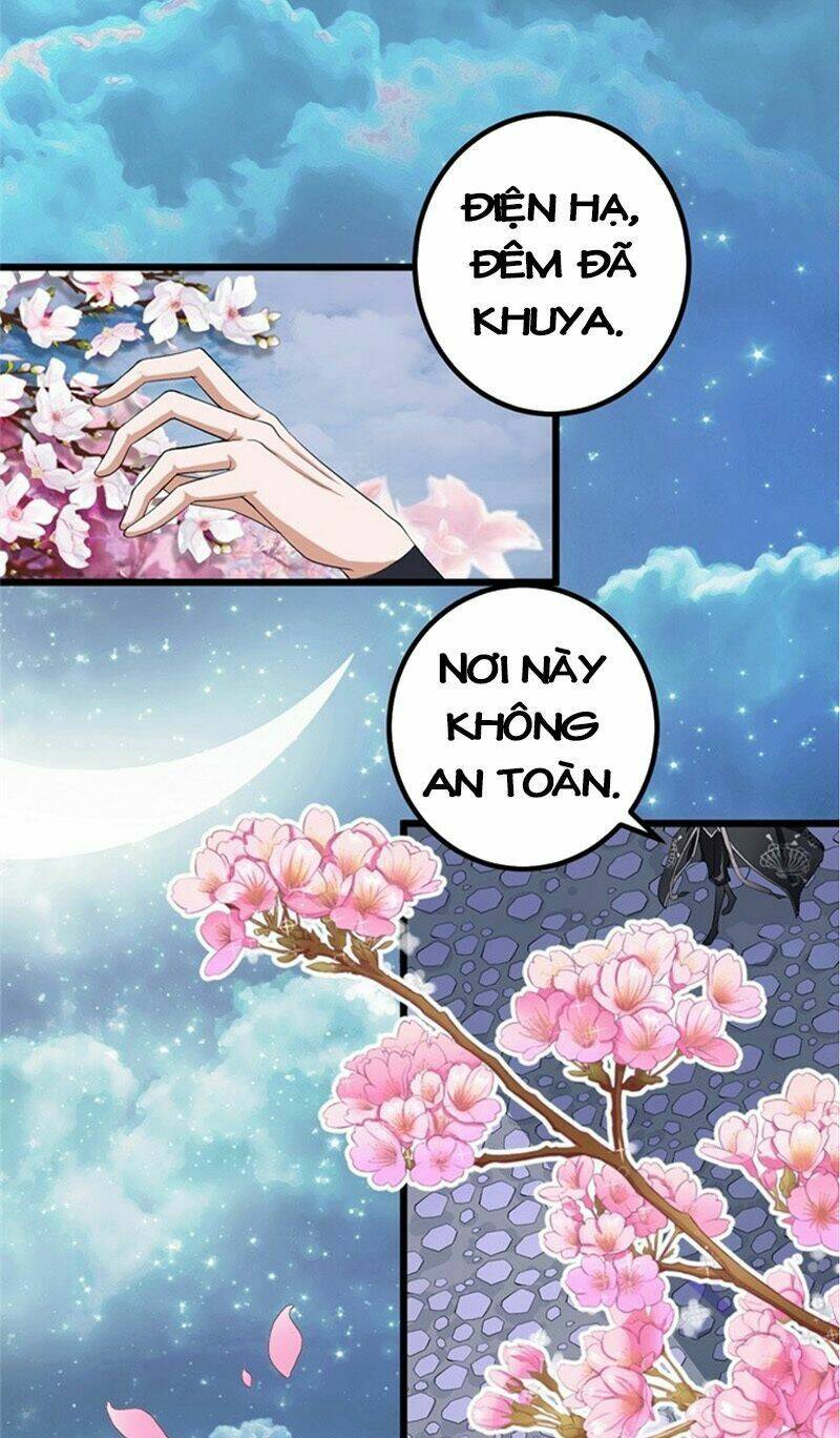 nam sủng của ta muốn leo tường chapter 1 8