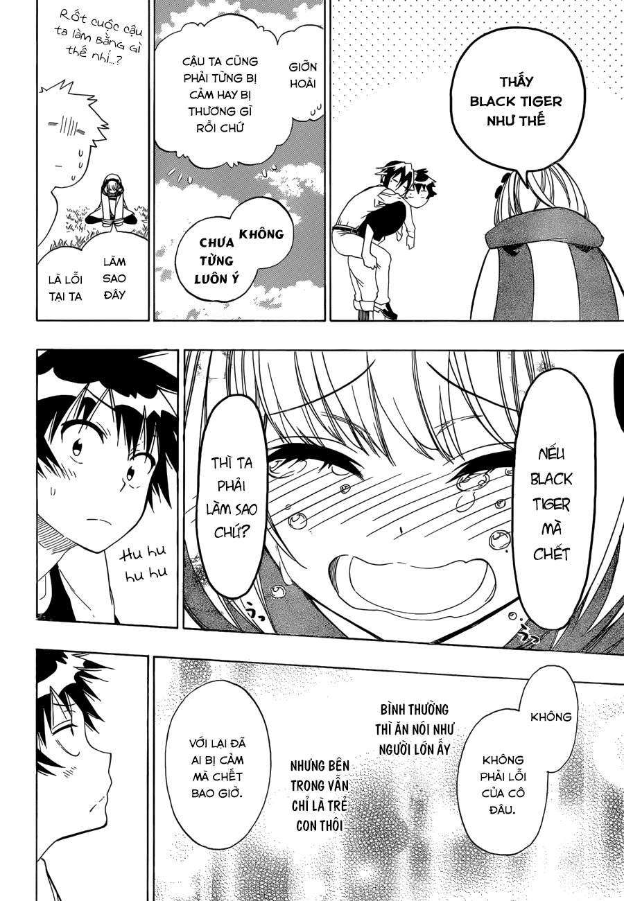 nisekoi - tình yêu giả tạo chapter 80 13