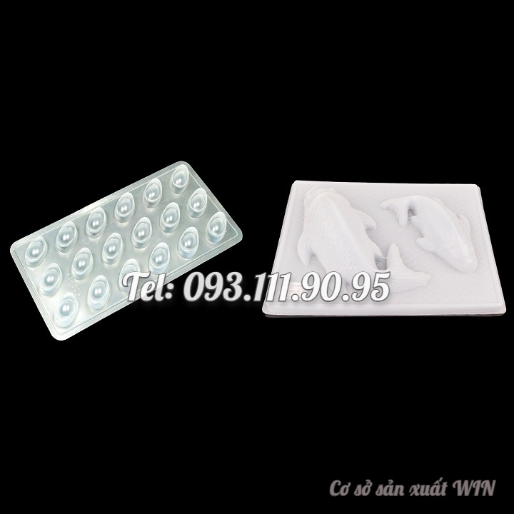 Bộ 2 khuôn: cá chép và thỏi vàng làm bánh, rau câu, giò chả - Mã số 1206