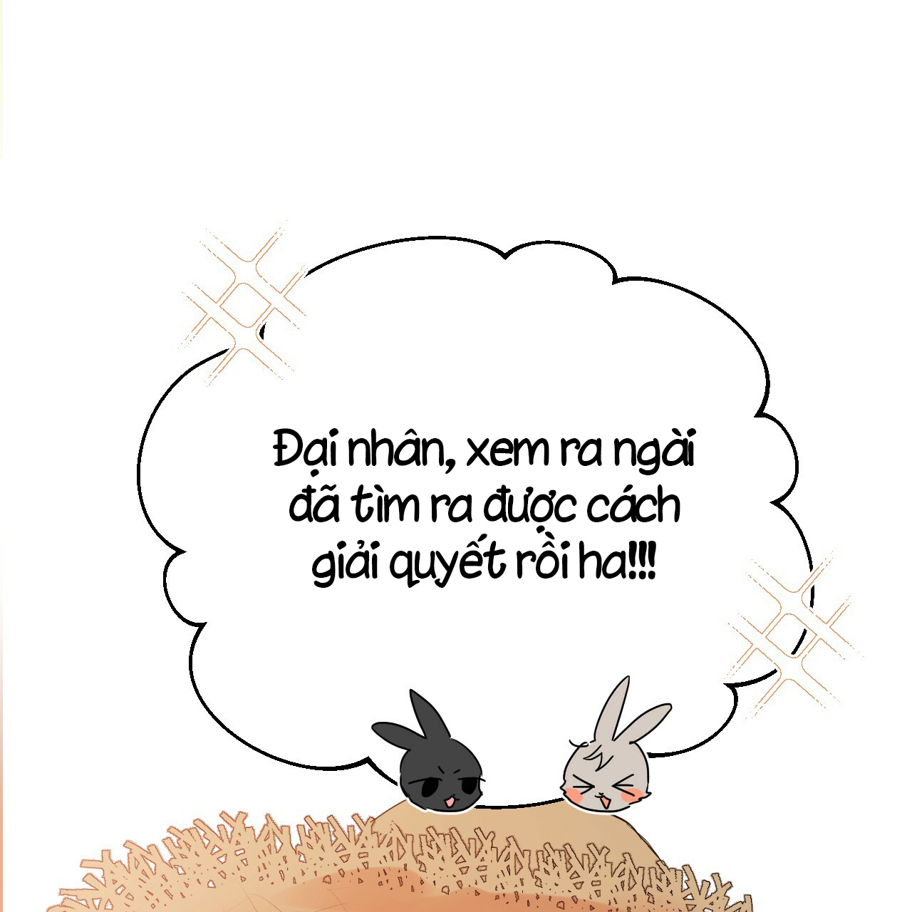 những chú thỏ của hapypy chapter 10 103