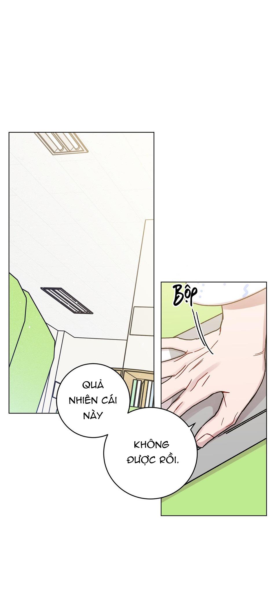 cơn mưa rào mùa hạ chapter 29 4