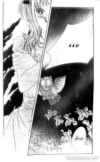 lọ lem hậu đậu chapter 59 9