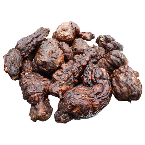 Viên Hà Thủ Ô Đỏ Mật Ong Rừng Phúc Khang 300g - Làm đen tóc ,giảm rụng tóc , kích thích mọc tóc .giúp ăn ngon , ngủ ngon , hũ thủy tinh cao cấp , vị ngọt , dễ uống - Hàng chính hãng