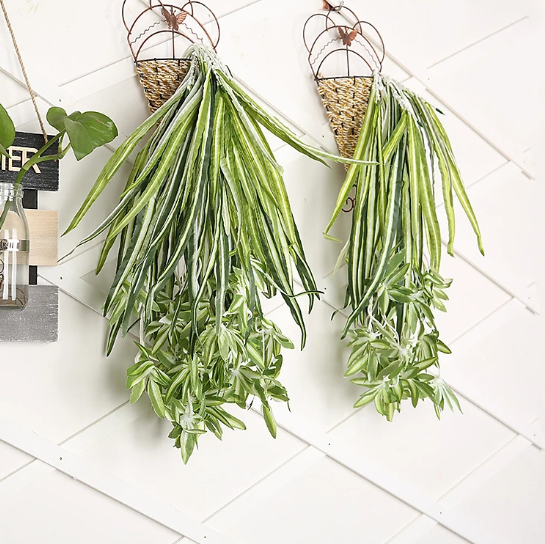 Chùm cỏ sao treo tường decor cửa, giá bán 1 chùm KHÔNG KÈM GIỎ TREO