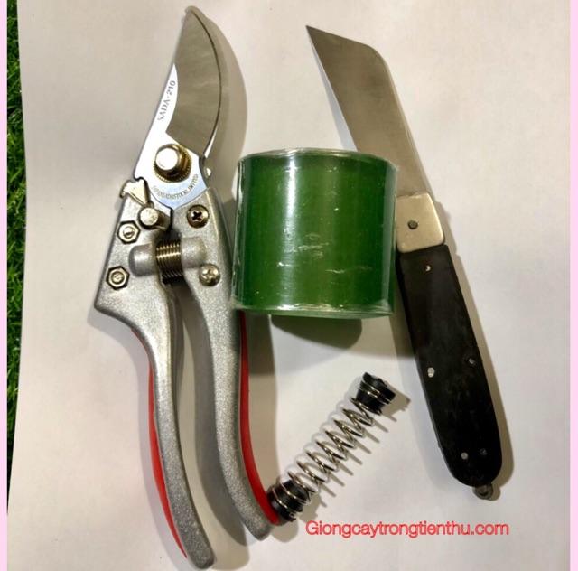 SET 3 DỤNG CỤ CHUYÊN DÙNG GHÉP CÂY GIỐNG CÂY CẢNH