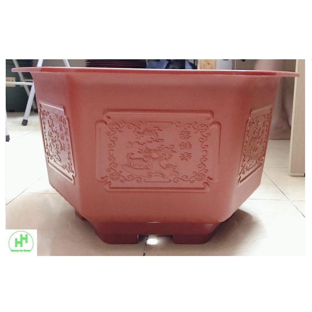 5 Chậu Nhựa Trồng Hoa, Cây Cảnh Bình Thuận FAC-480 hàng chất lượng nhựa bền đẹp