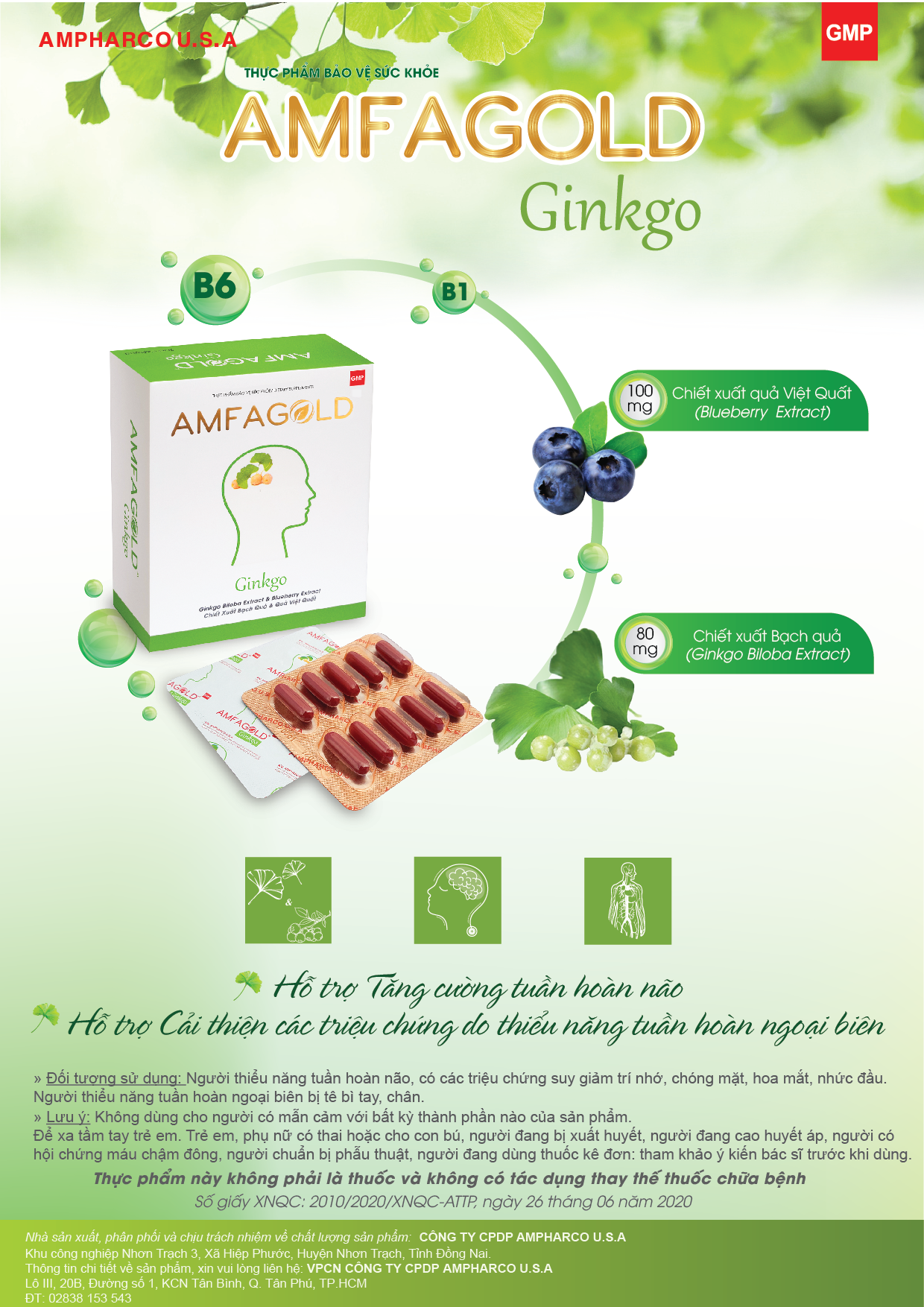 Viên uống Amfagold Ginkgo - Hỗ trợ tăng cường tuần hoàn não, cải thiện các triệu chứng do thiểu năng tuần hoàn não - Hộp 30 viên