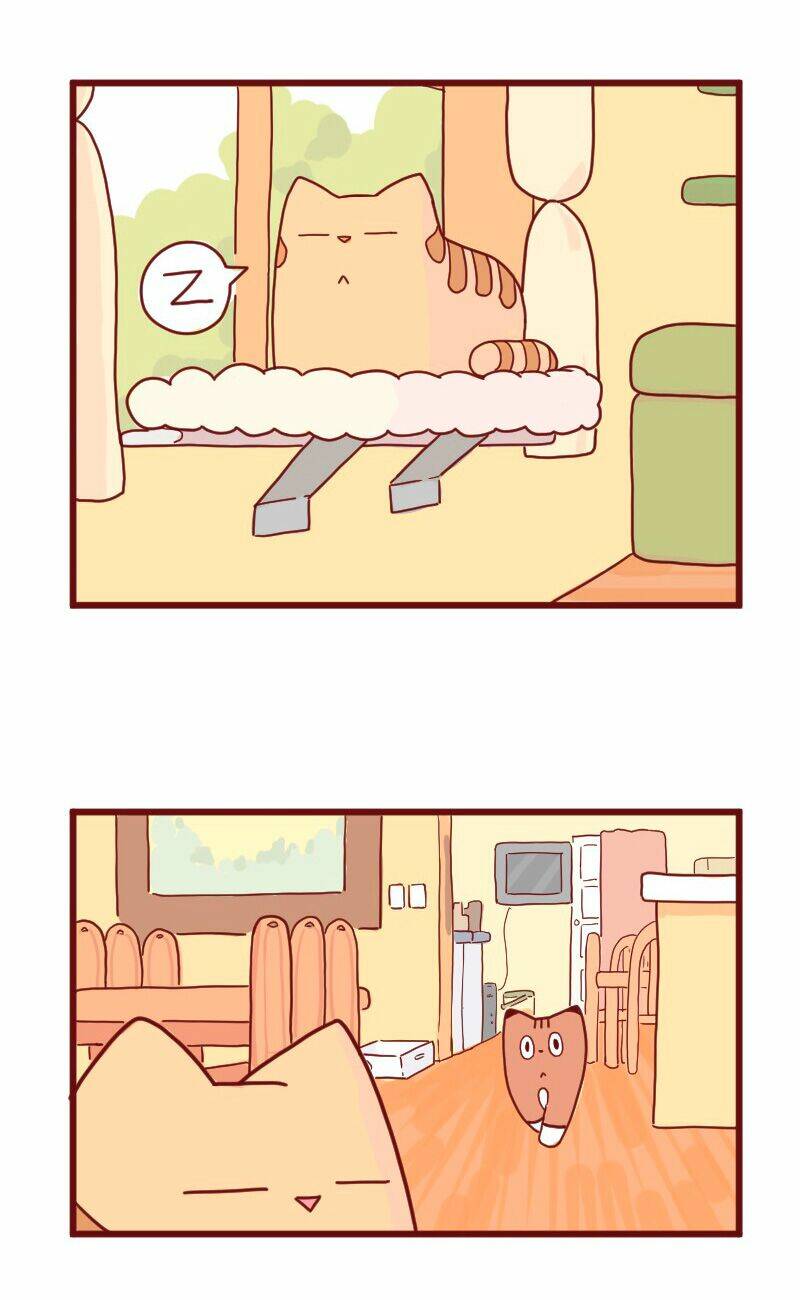 saphie: chú mèo một mắt chapter 10 2