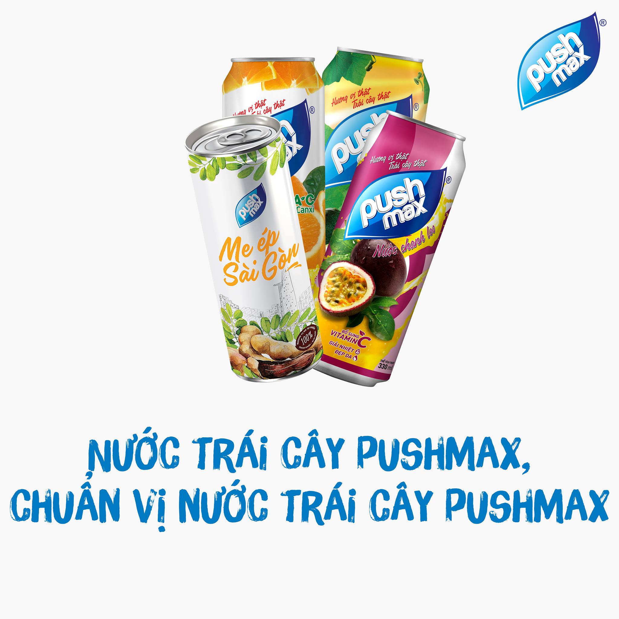 Lốc 6 Lon Nước Trái Cây Trà Bí Đao Pushmax
