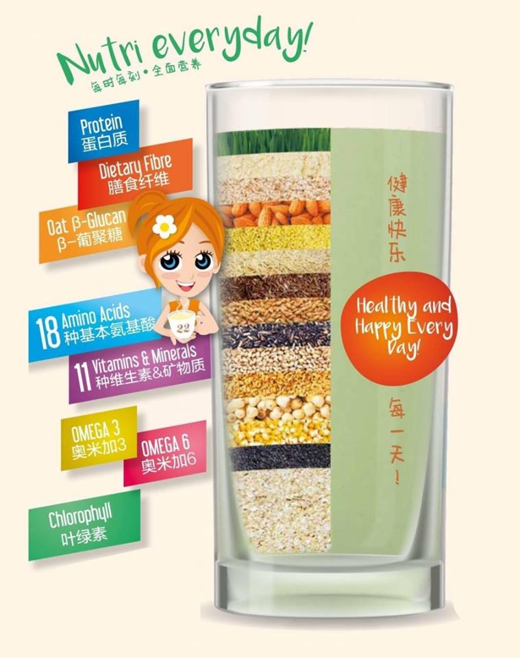 Bột ngũ cốc dinh dưỡng Good Lady Singapore - Mầm lúa mì - 22 Nutrimix Complete Wheat Grass (750g)