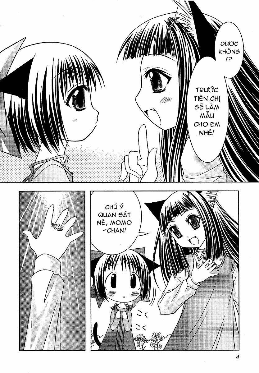 sakura no nekohime chapter 7 6