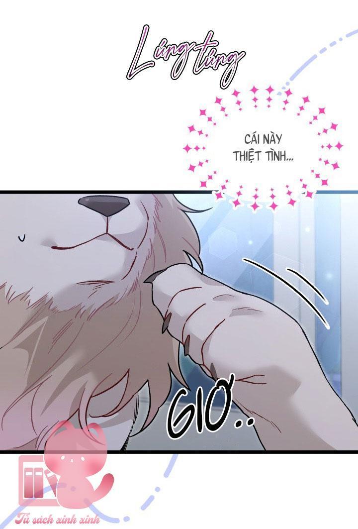 quan hệ cộng sinh giữa báo đen và thỏ trắng chapter 107 31