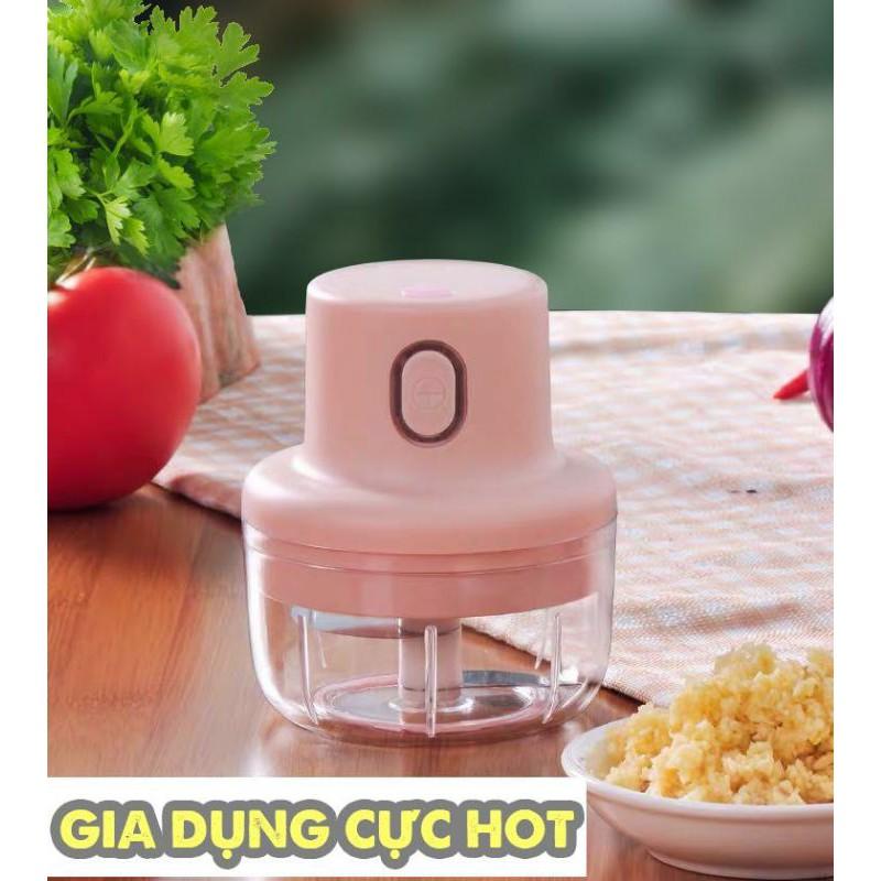 Máy xay tỏi ớt đa năng TÍCH điện - Máy say thịt đa năng cao cấp