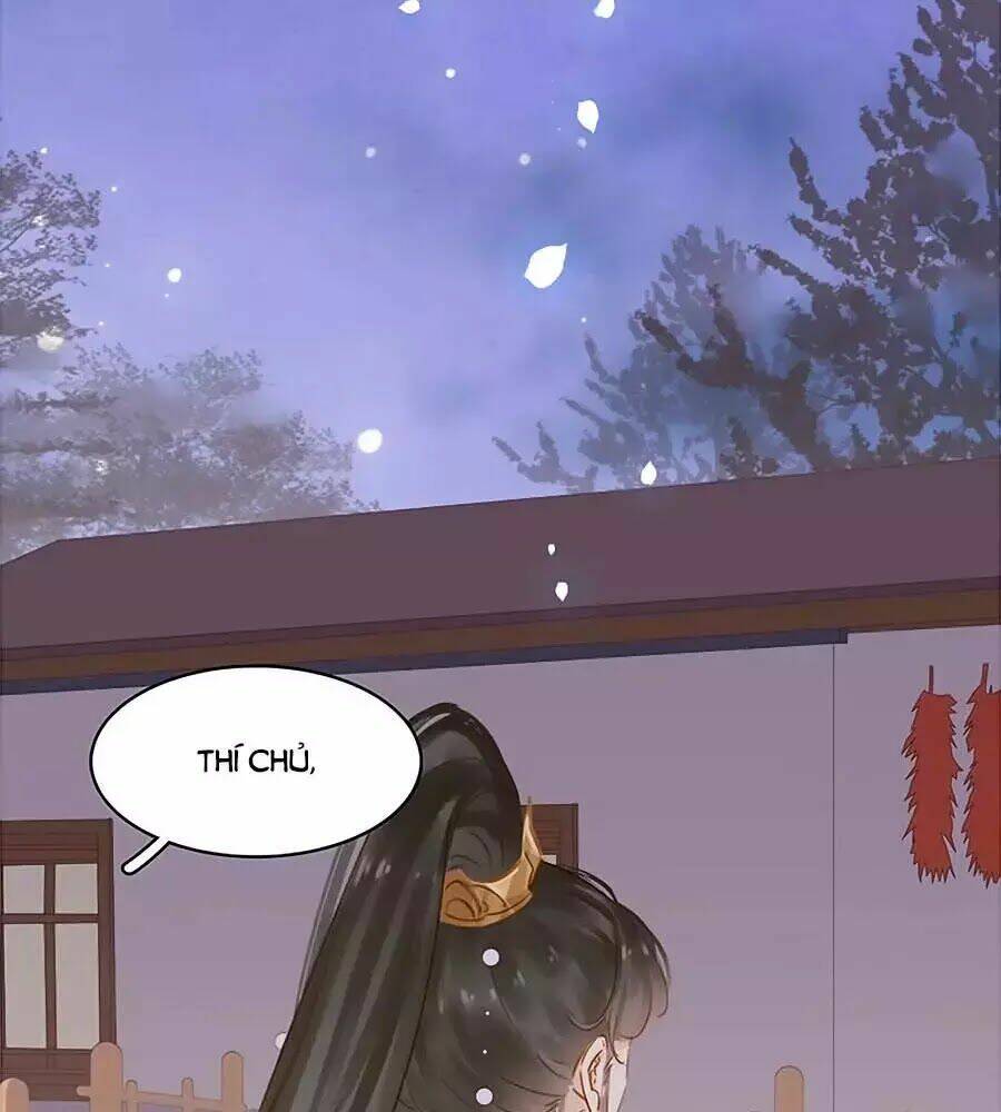 tiểu sư phụ, tóc giả của ngài rơi rồi! chapter 14 38