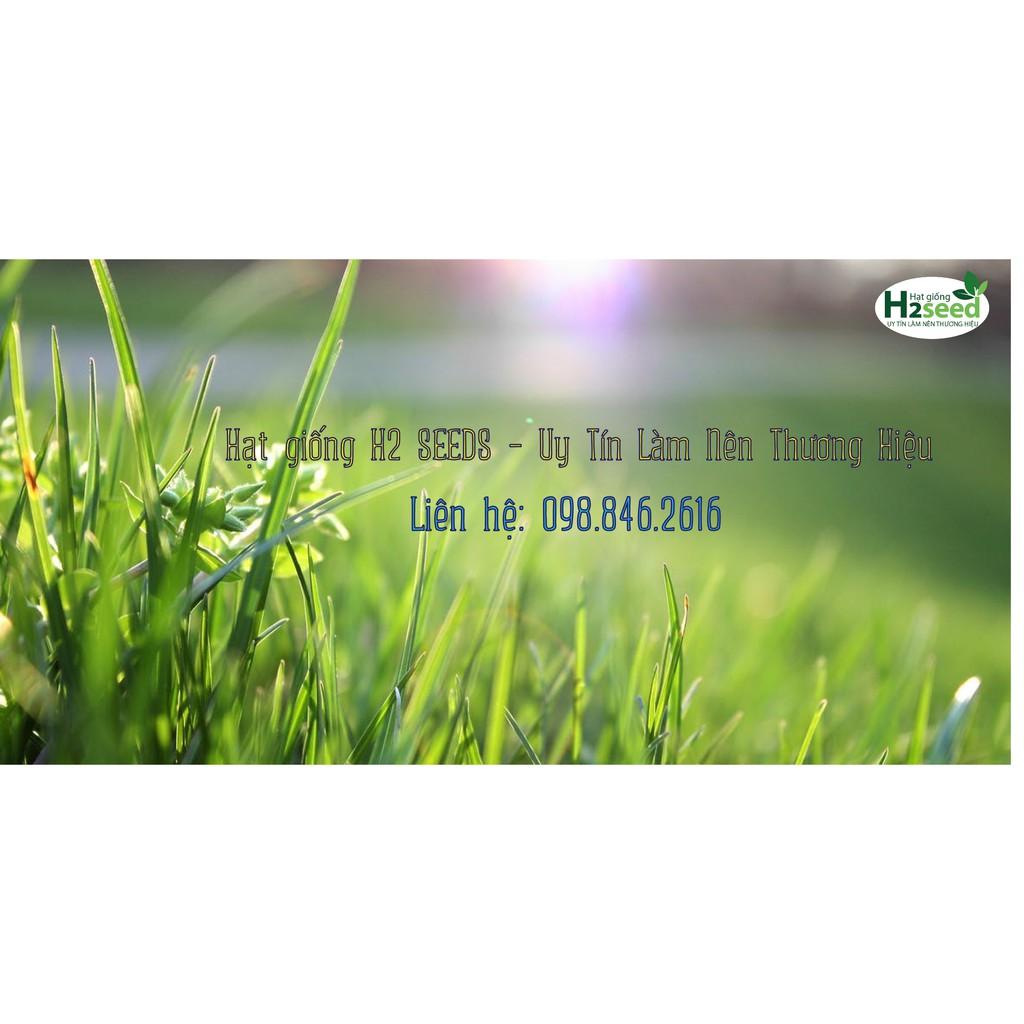 Hạt giống Cỏ Mèo - Gói 2kg - Cỏ Tươi cho Chó, Mèo, Thú Cưng - Cỏ Yến Mạch Cho Chăn Nuôi Gia Súc
