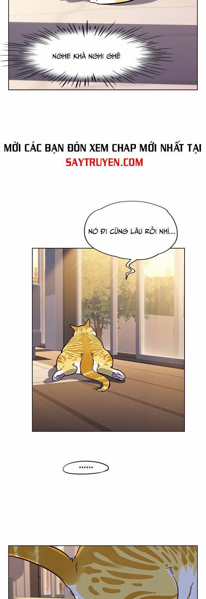 biến thân thành mèo chapter 12 51